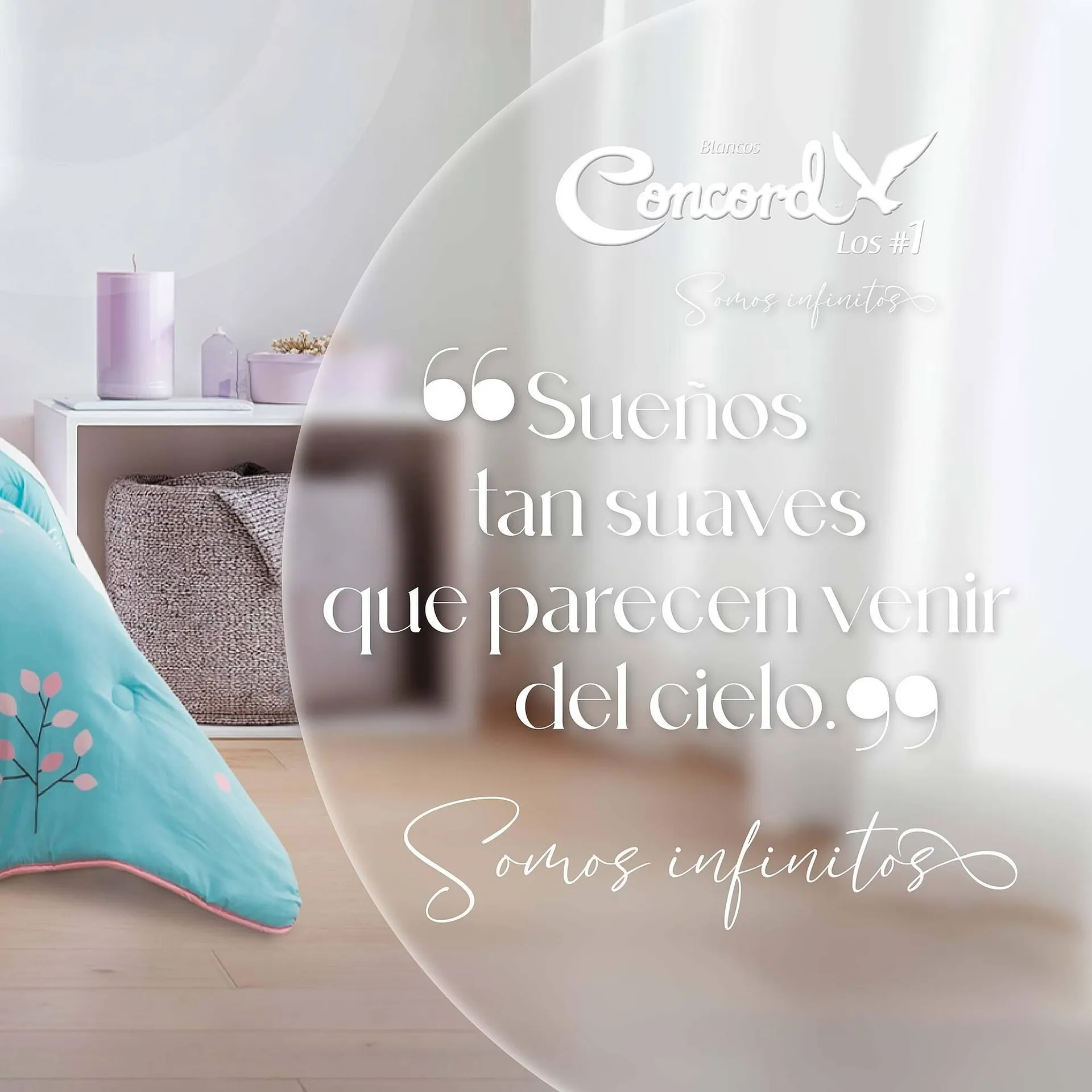 Catálogo de Catálogo Colchas Concord 8 de octubre al 14 de octubre 2025 - Pagina 4