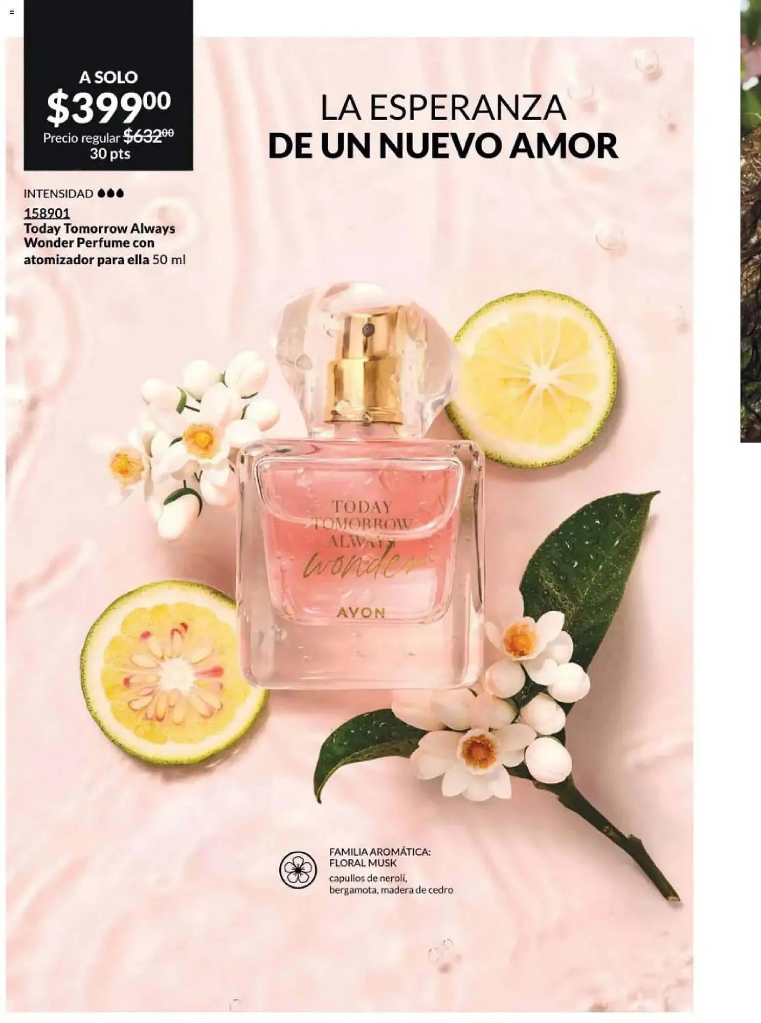 Catálogo de Catálogo Avon 20 de febrero al 27 de marzo 2026 - Pagina 82