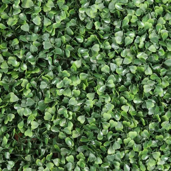 SET D/8 PZ FOLLAJE BOXUS JADE 50X50CM