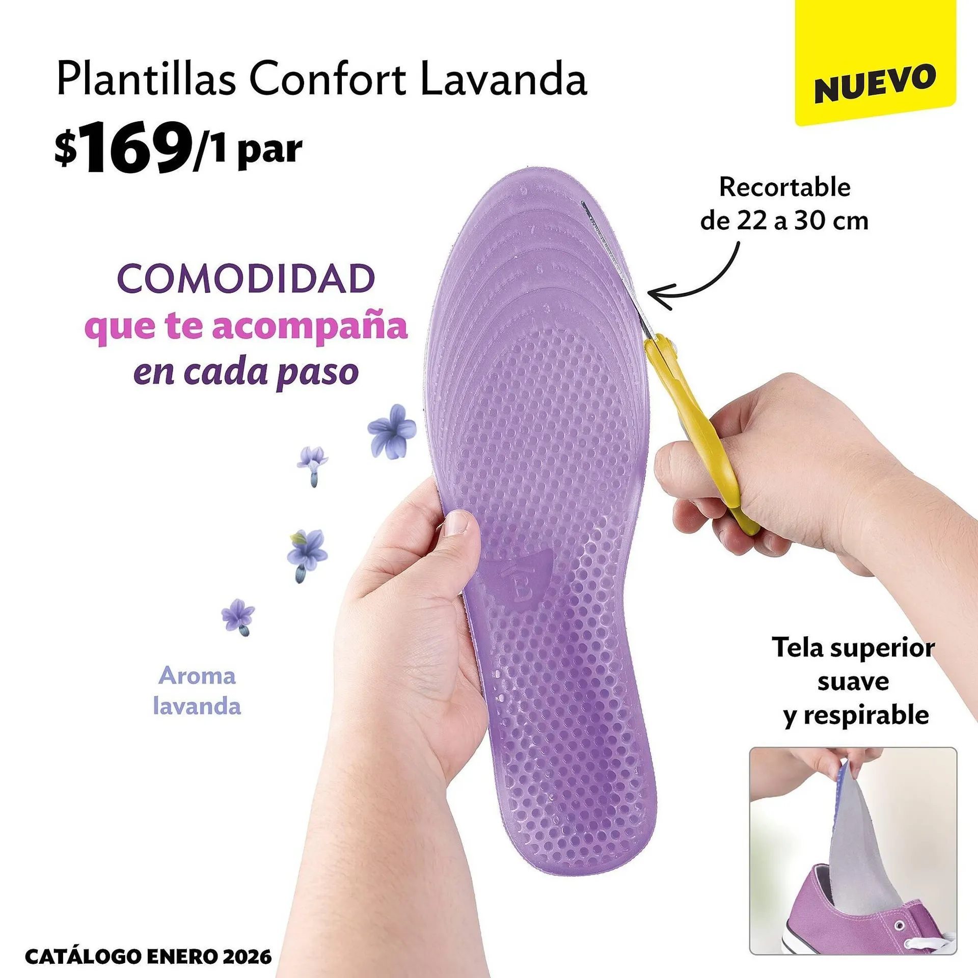 Catálogo de Catálogo BetterWare 5 de enero al 31 de enero 2026 - Pagina 5