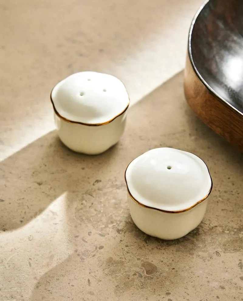 BONE CHINA SALT AND PEPPER SHAKER WITH RIM