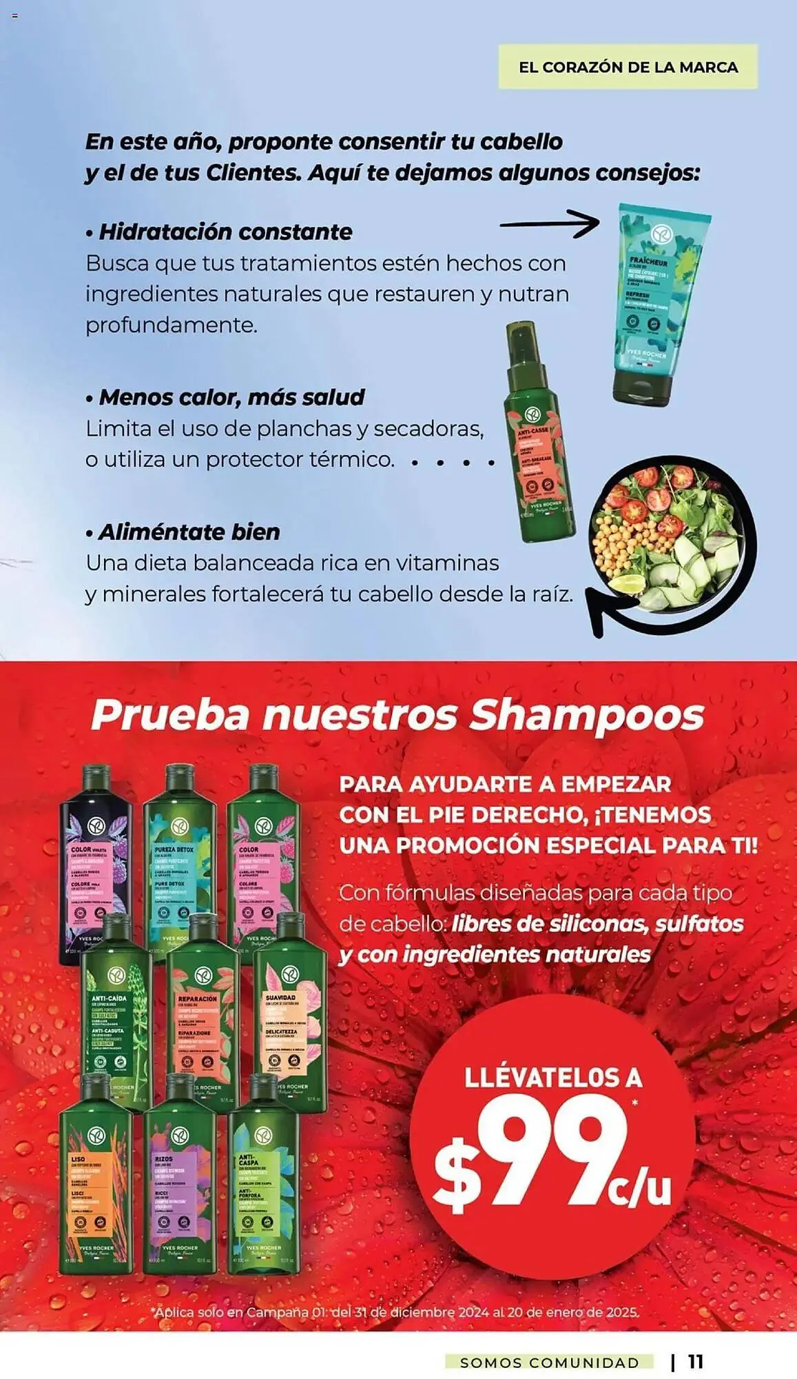 Catálogo de Catálogo Yves Rocher 31 de diciembre al 10 de febrero 2025 - Pagina 11