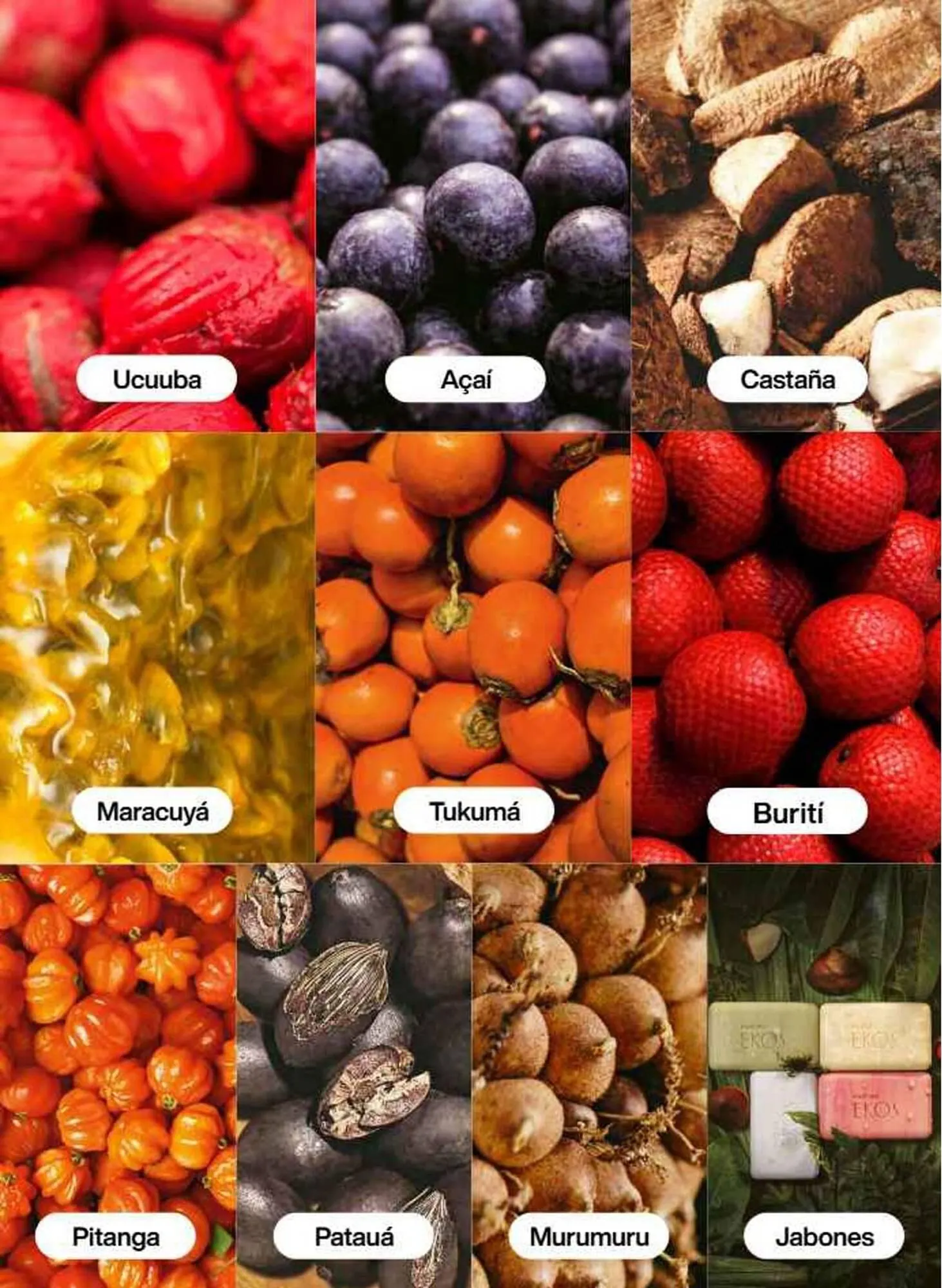 Catálogo de Catálogo Natura 16 de julio al 31 de diciembre 2025 - Pagina 93