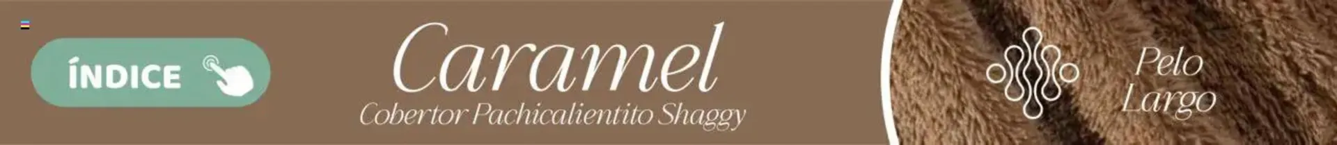 Catálogo de Catálogo Colchas Concord 1 de agosto al 1 de noviembre 2025 - Pagina 826