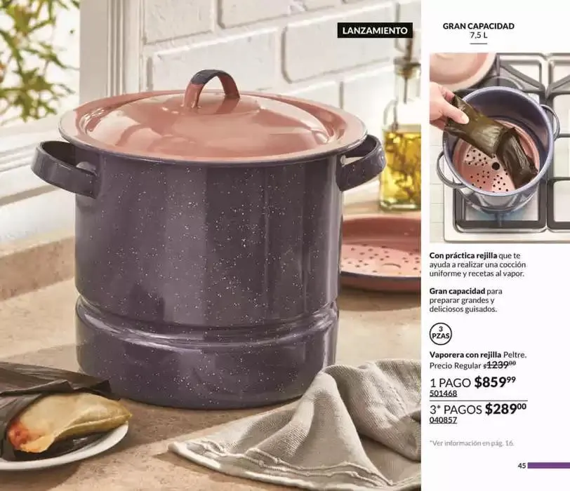 Catálogo de Avon Casa & Estilo C4 17 de enero al 31 de enero 2025 - Pagina 45