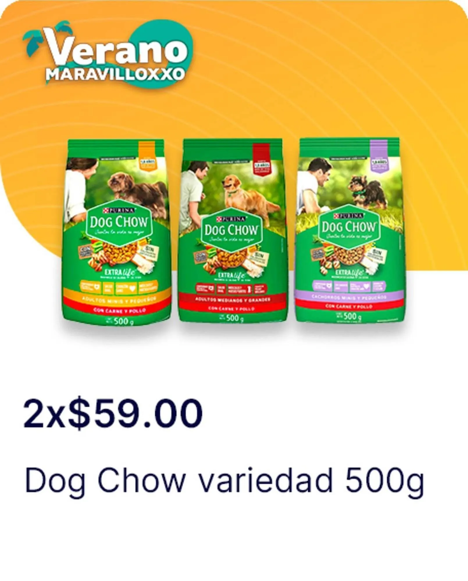 Catálogo de Catálogo OXXO 13 de junio al 16 de julio 2025 - Pagina 10