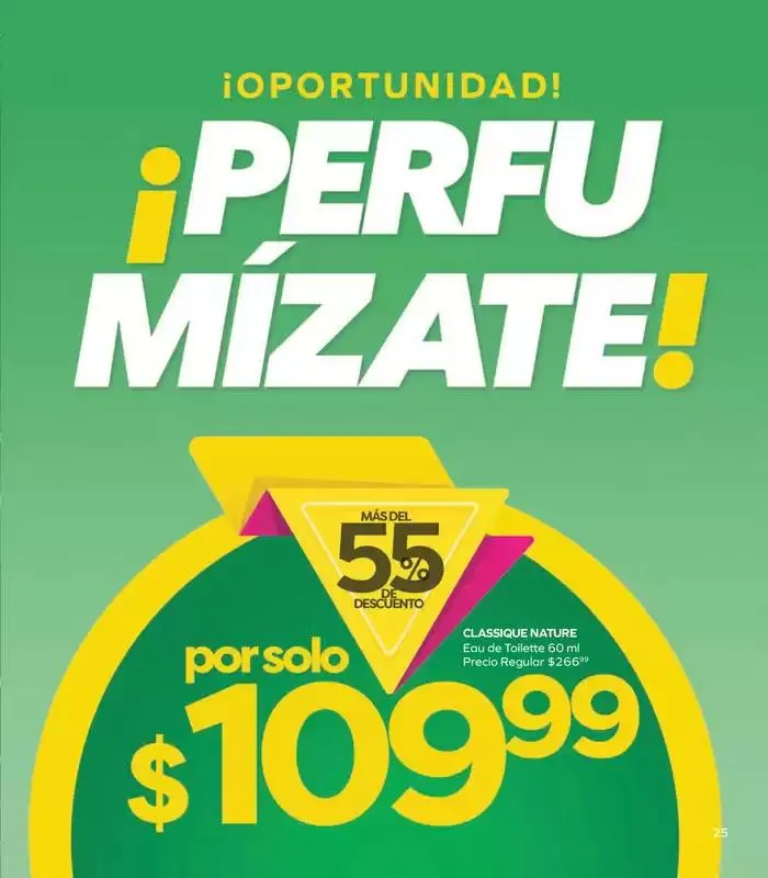 Catálogo de Stanhome - C17 6 de noviembre al 22 de noviembre 2024 - Pagina 29