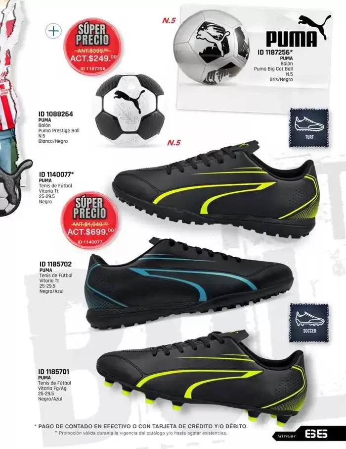 Catálogo de IMPORTADOS WINTER 11 de noviembre al 31 de enero 2025 - Pagina 65