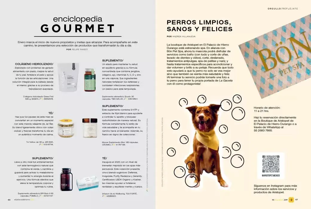 Catálogo de La Gaceta 3 de enero al 31 de enero 2025 - Pagina 35