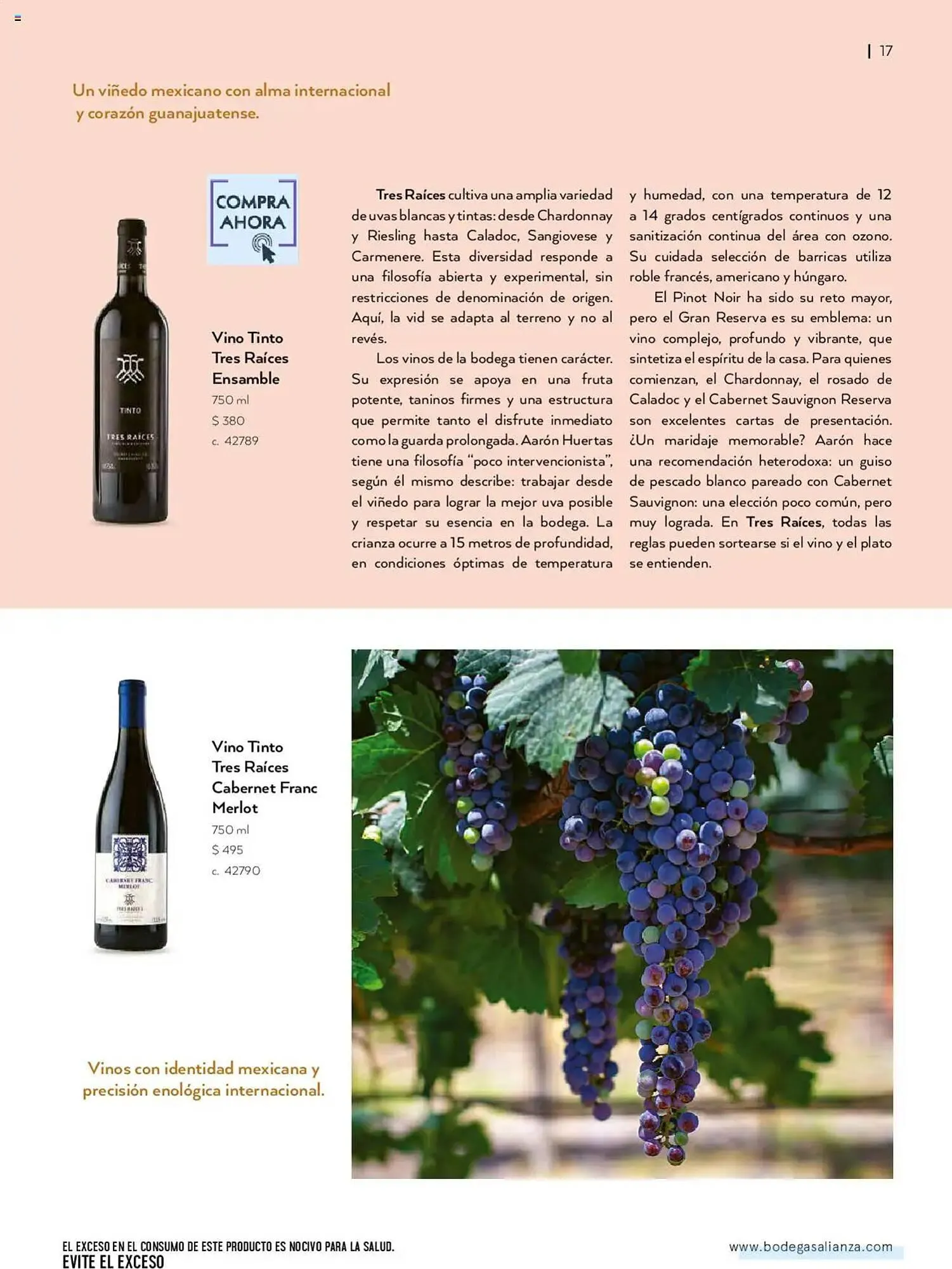 Catálogo de Catálogo Bodegas Alianza 1 de julio al 1 de octubre 2025 - Pagina 19