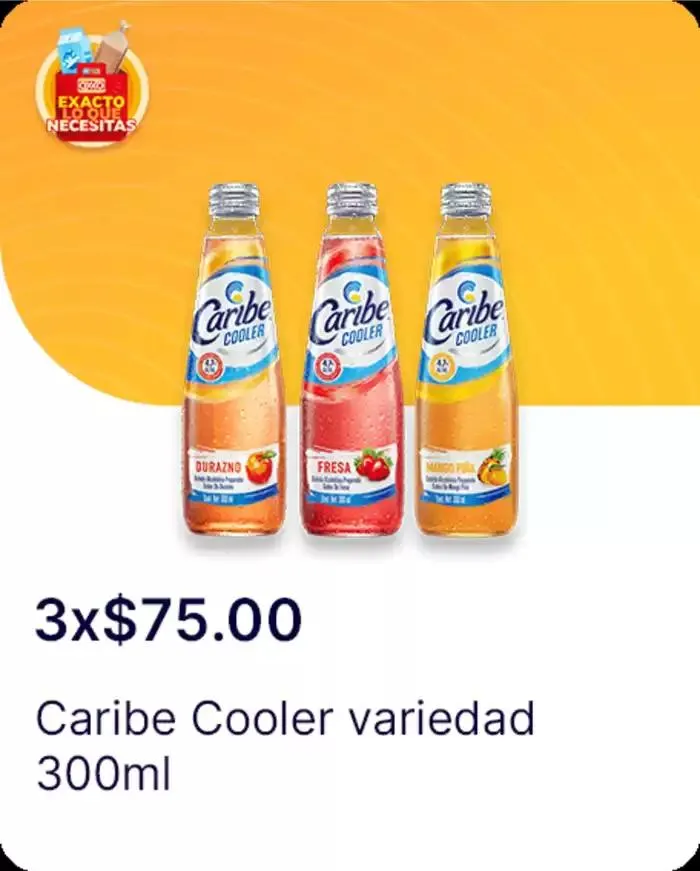 Catálogo de Exacto lo que necesitas 7 de enero al 22 de enero 2025 - Pagina 86