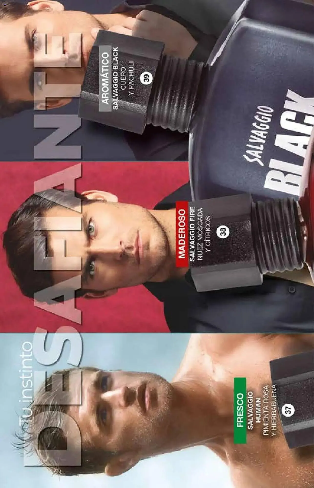 Catálogo de Catálogo Fuller 29 de abril al 20 de mayo 2026 - Pagina 24