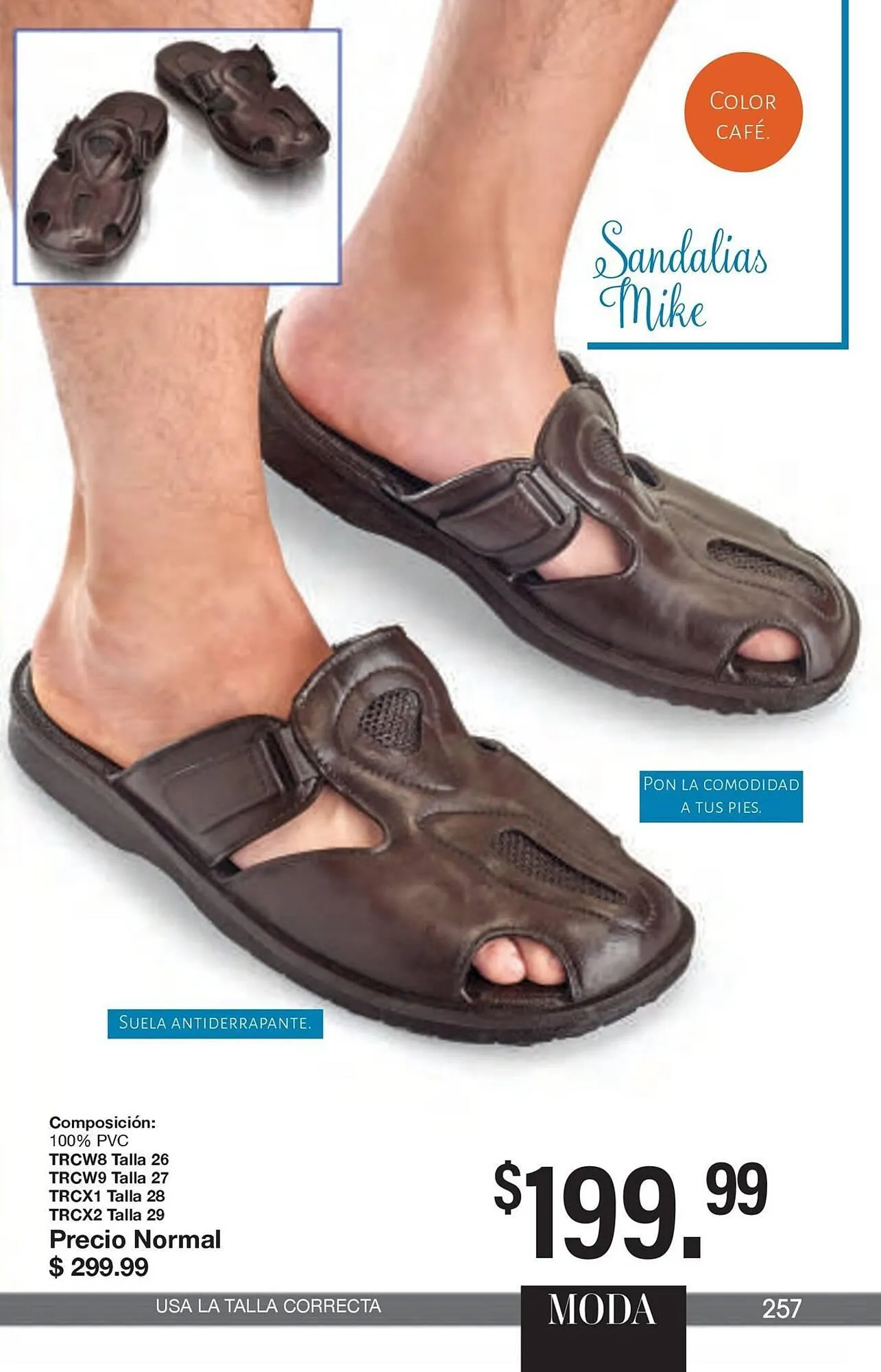 Catálogo de Catálogo Arabela 29 de enero al 19 de febrero 2026 - Pagina 221