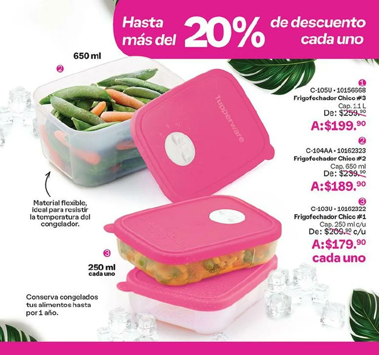 Catálogo de Tupperware 4 de septiembre al 16 de septiembre 2024 - Pagina 53