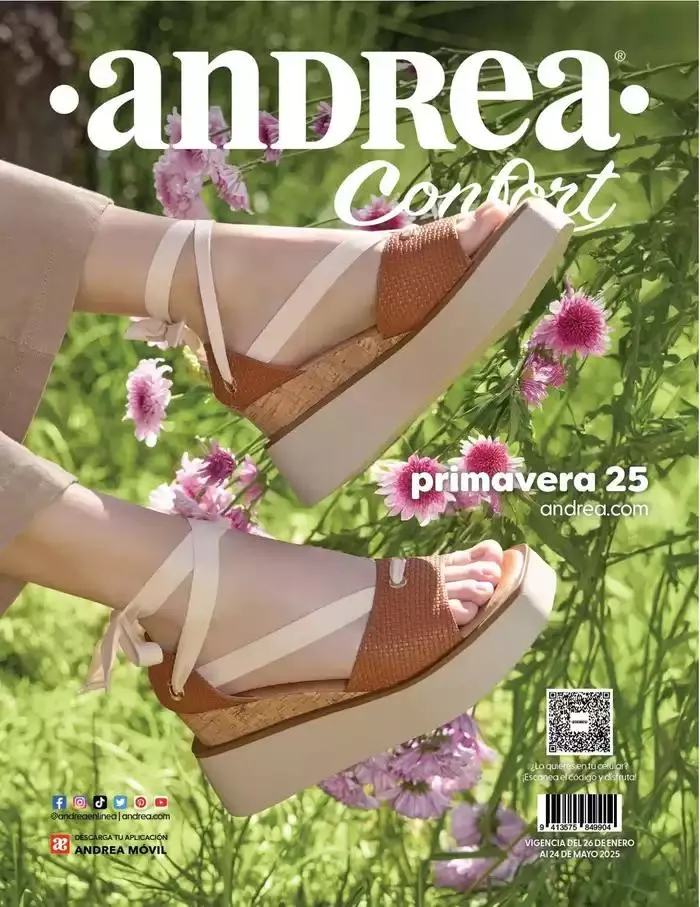 Catálogo de ANDREA | CALZADO CONFORT 26 de enero al 24 de mayo 2025 - Pagina 102