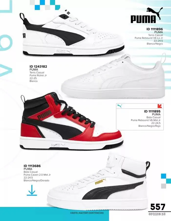 Catálogo de IMP SPRING | 2025 | 1E 17 de febrero al 28 de febrero 2025 - Pagina 559