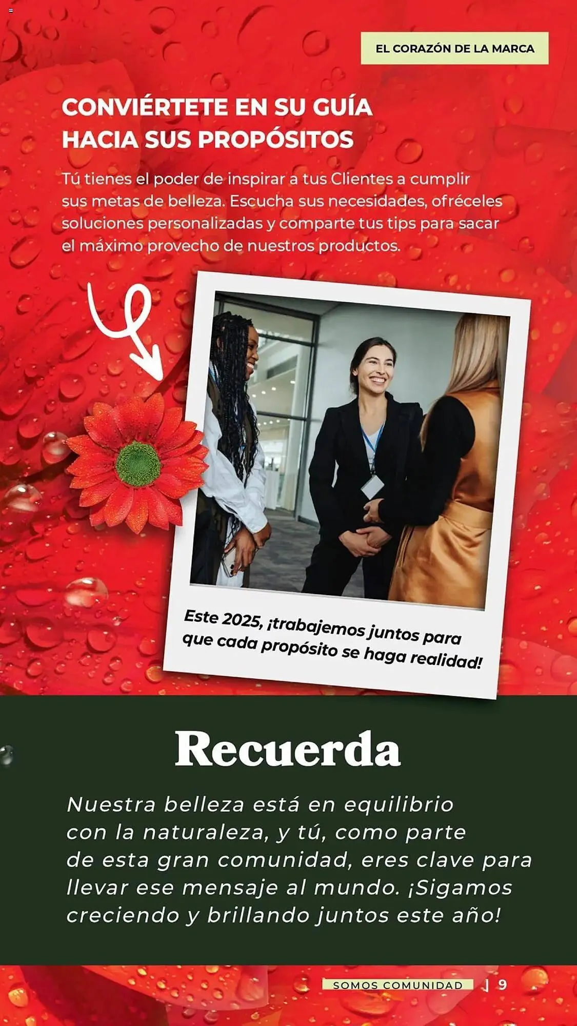 Catálogo de Catálogo Yves Rocher 31 de diciembre al 10 de febrero 2025 - Pagina 9