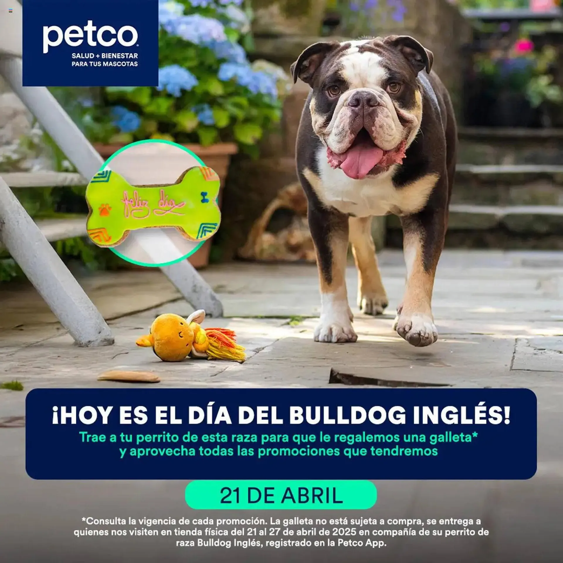 Catálogo Petco - 1