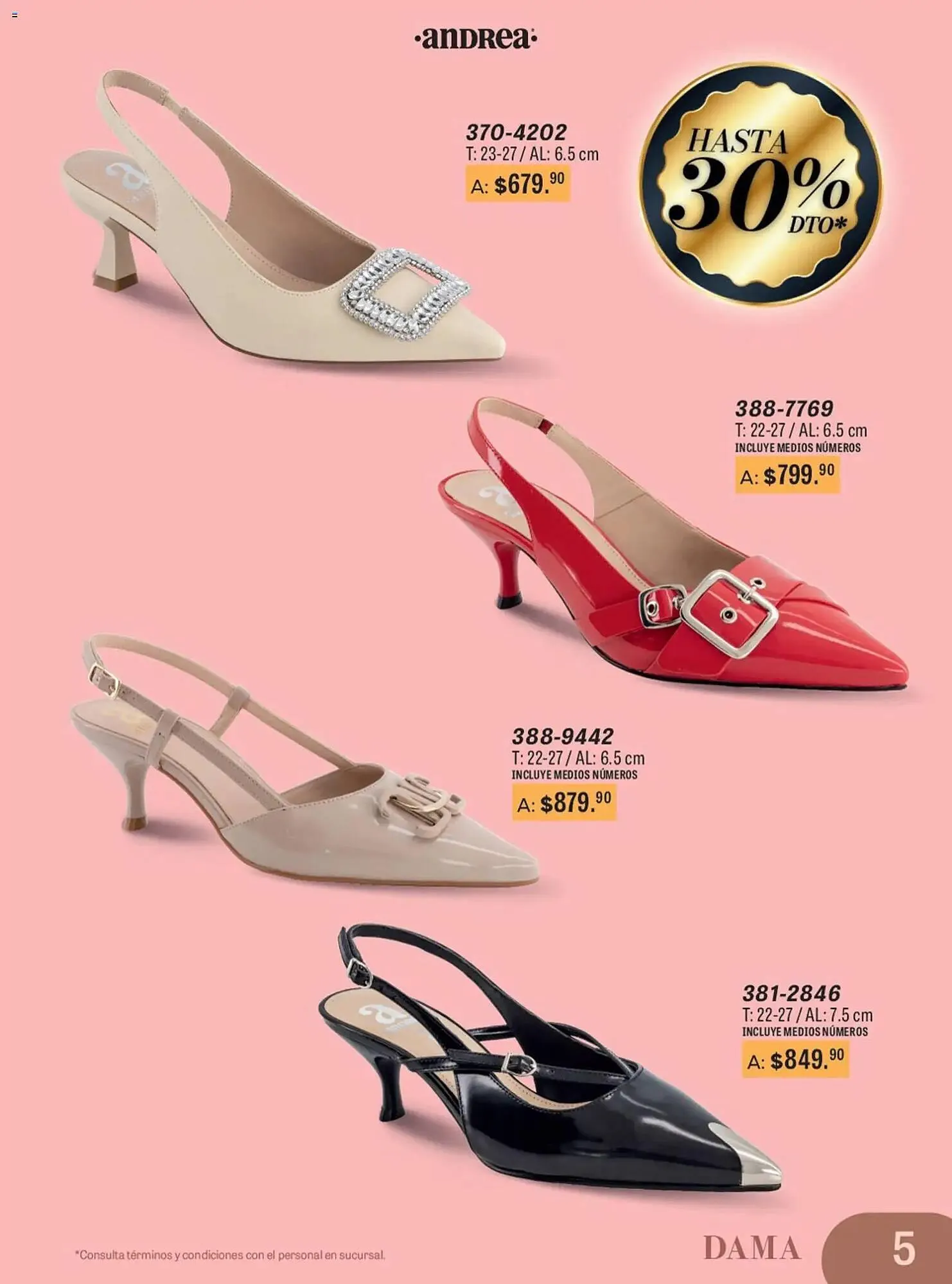 Catálogo de Catálogo Andrea 11 de enero al 28 de junio 2026 - Pagina 5