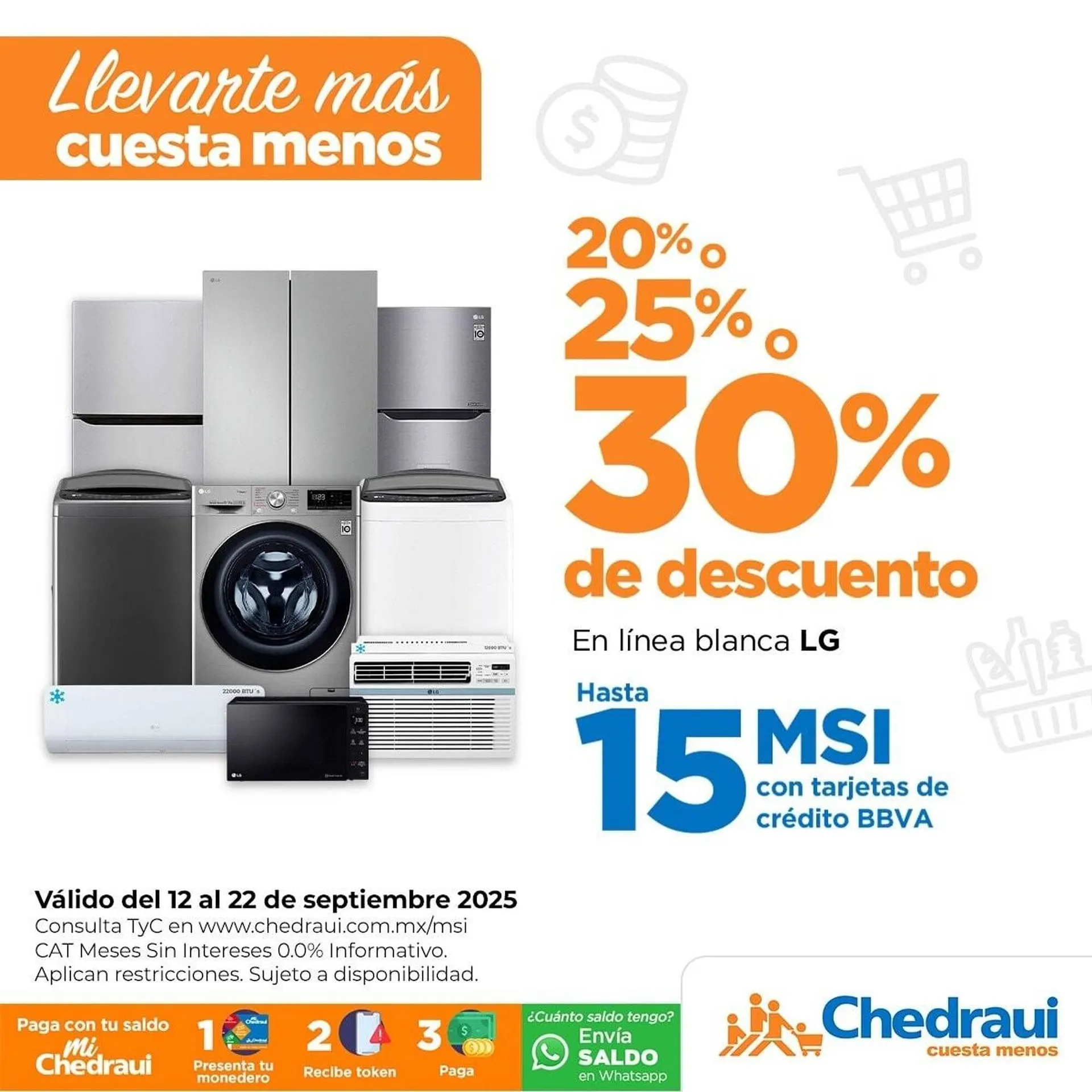 Folleto Chedraui - 1