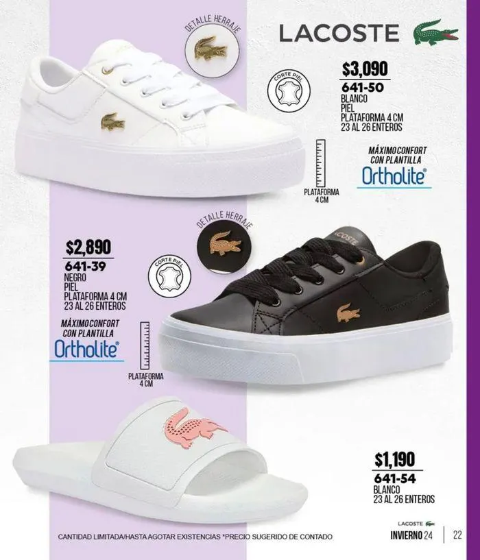 Catálogo de Catálogo Cklass Calzado Urban Invierno 2024 México 19 de septiembre al 31 de enero 2025 - Pagina 248