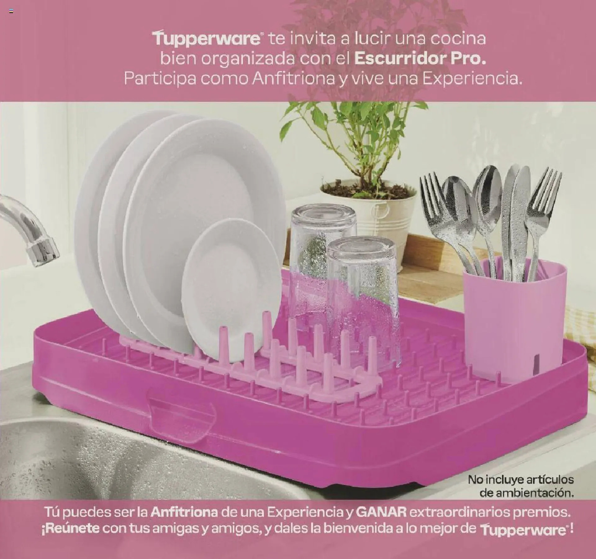 Catálogo de Catálogo Tupperware 15 de abril al 5 de mayo 2024 - Pagina 133