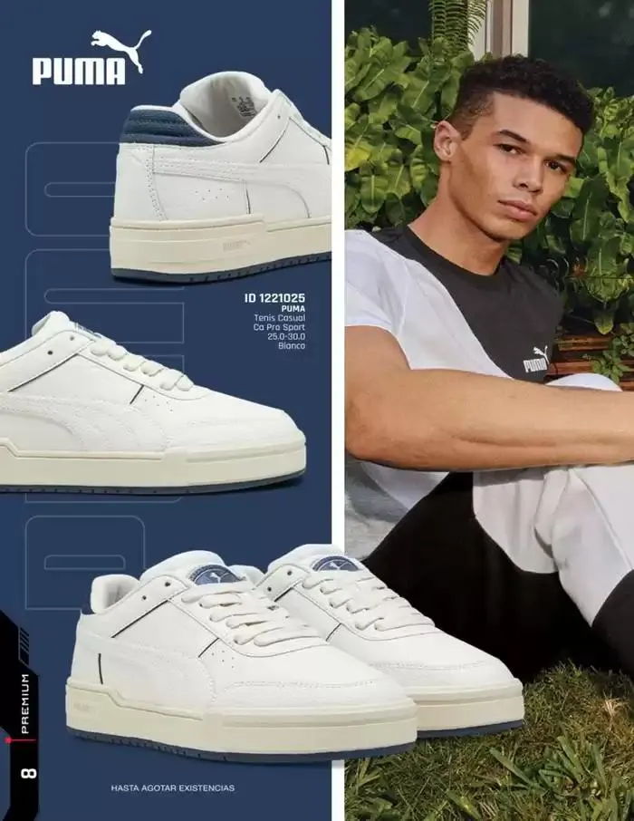 Catálogo de IMP PREMIUM  16 de diciembre al 16 de marzo 2025 - Pagina 8