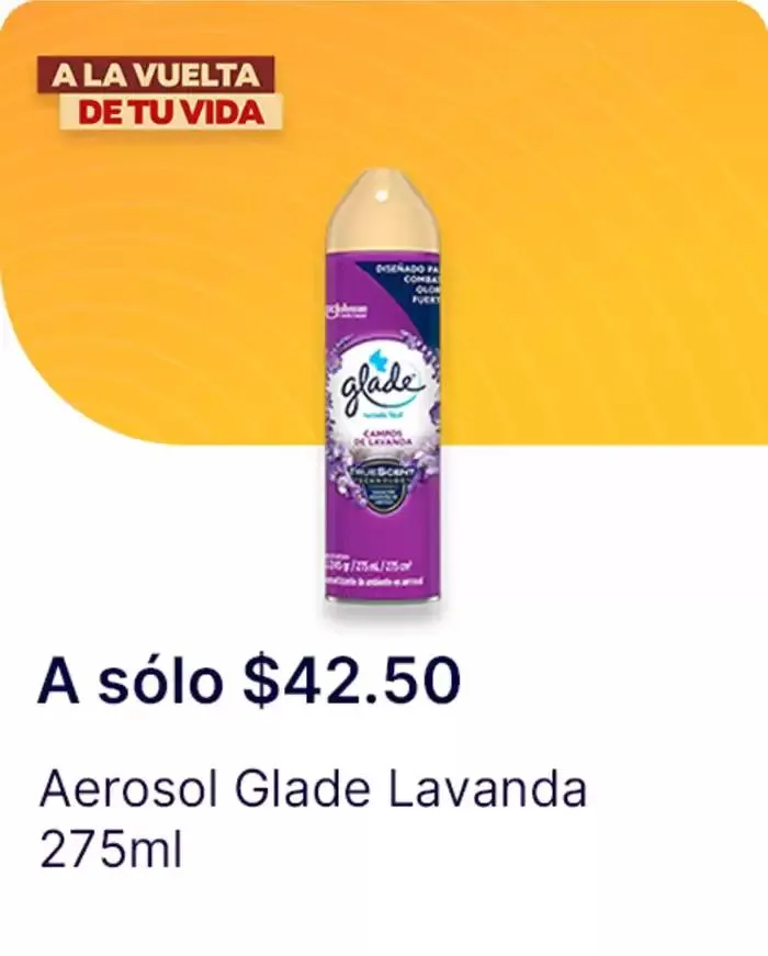 Catálogo de Ofertas principales para todos los cazadores de gangas 11 de diciembre al 25 de diciembre 2024 - Pagina 98