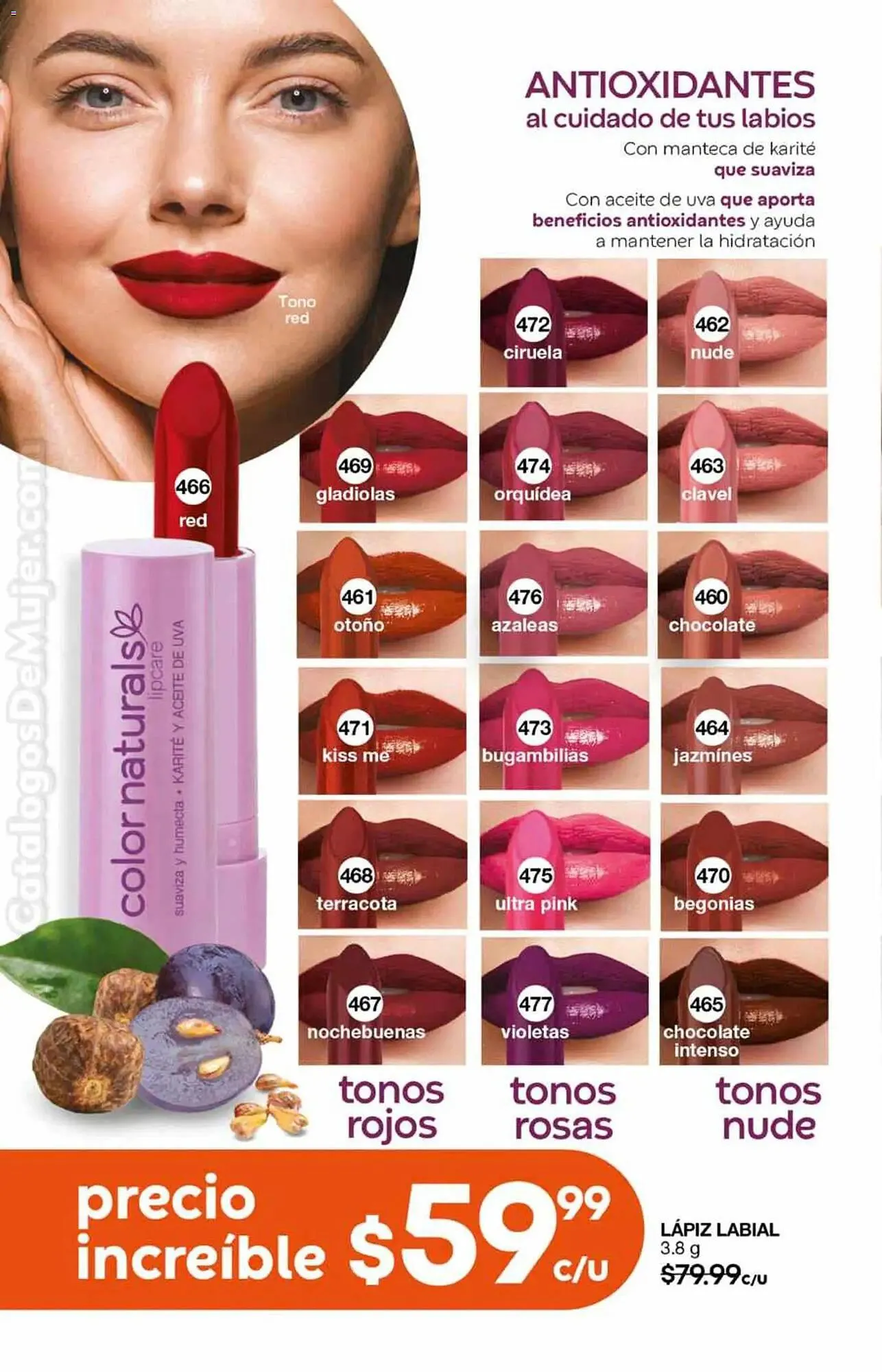 Catálogo de Catálogo Fuller 26 de noviembre al 17 de diciembre 2025 - Pagina 146