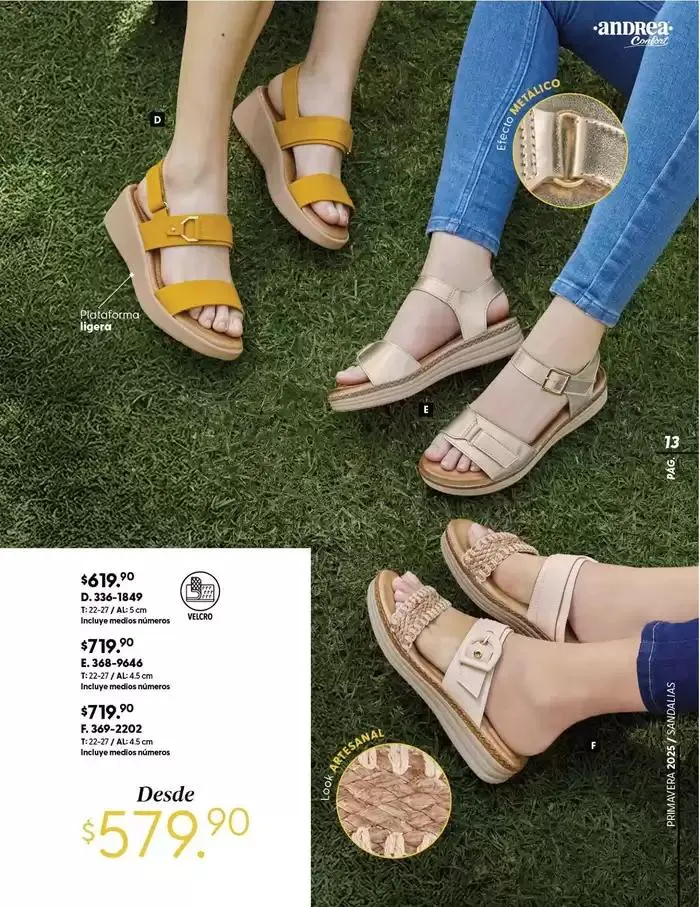 Catálogo de Ofertas principales y descuentos 5 de febrero al 31 de mayo 2025 - Pagina 13