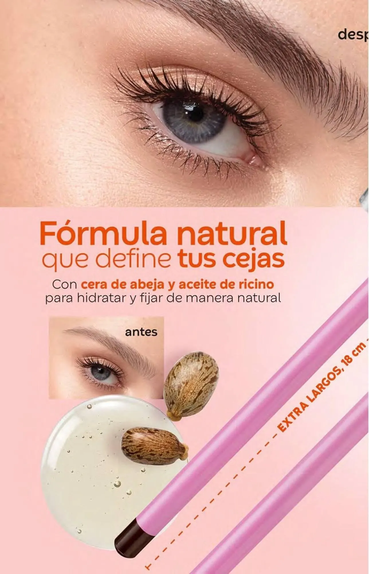 Catálogo de Catálogo Fuller 21 de agosto al 31 de octubre 2025 - Pagina 132