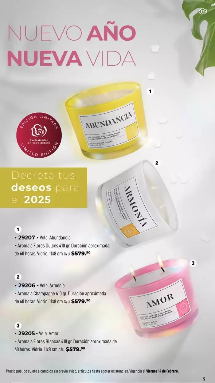 Catálogo de Inter Home - Los Aromas del Amor 9 de enero al 14 de febrero 2025 - Pagina 5