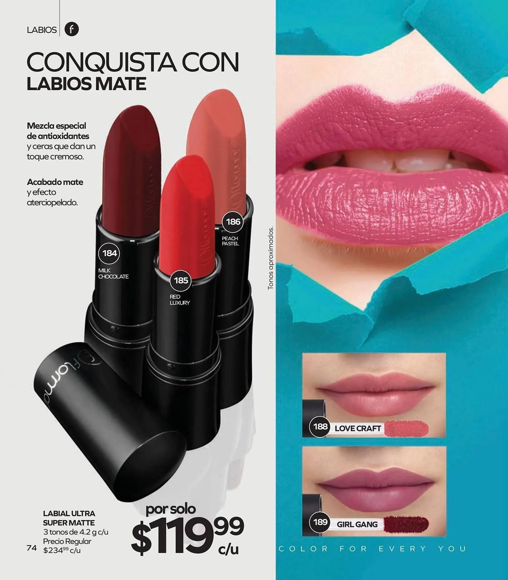 Catálogo de Catálogo Stanhome 19 de enero al 6 de febrero 2026 - Pagina 76