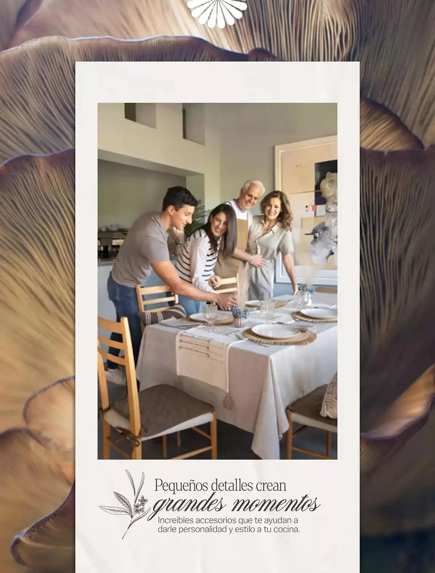 Catálogo de Catálogo Vianney 11 de abril al 31 de diciembre 2025 - Pagina 245