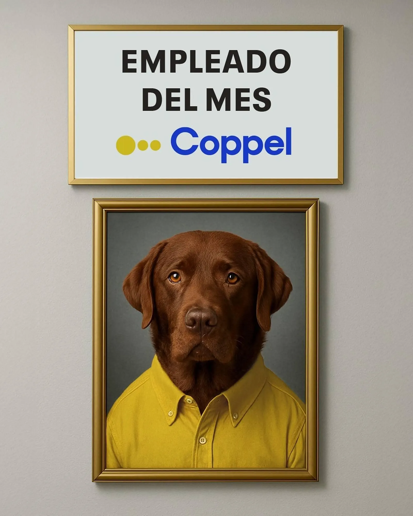 Catálogo de Catálogo Coppel 3 de agosto al 9 de agosto 2025 - Pagina 2
