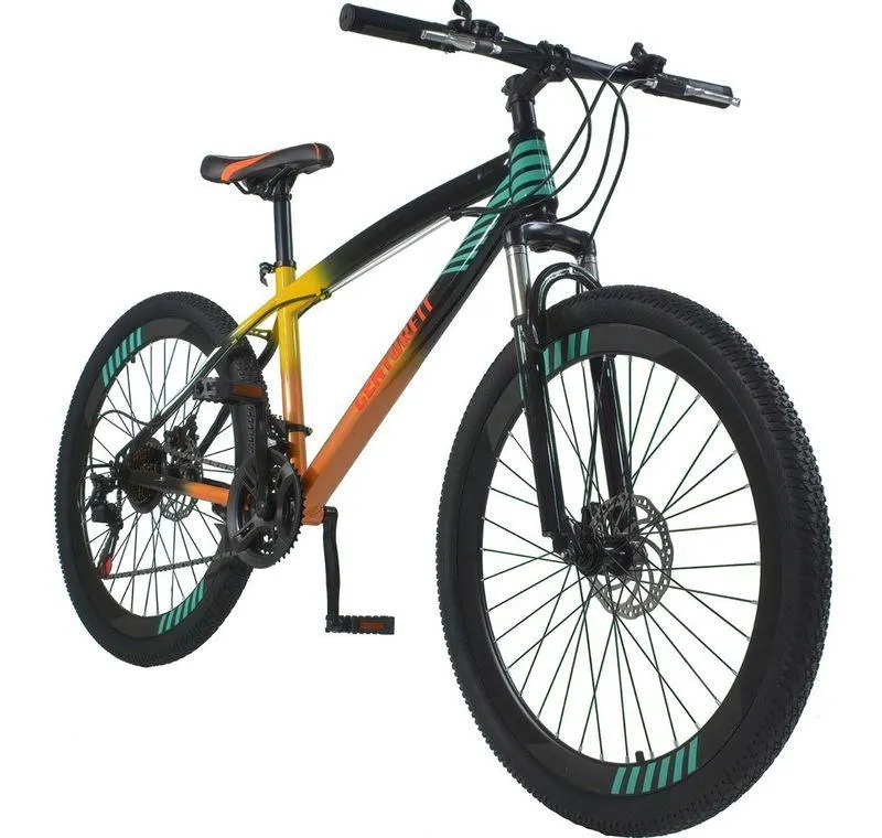 Bicicleta Montaña Profesional R26 21v Frenos De Disco Multicolor