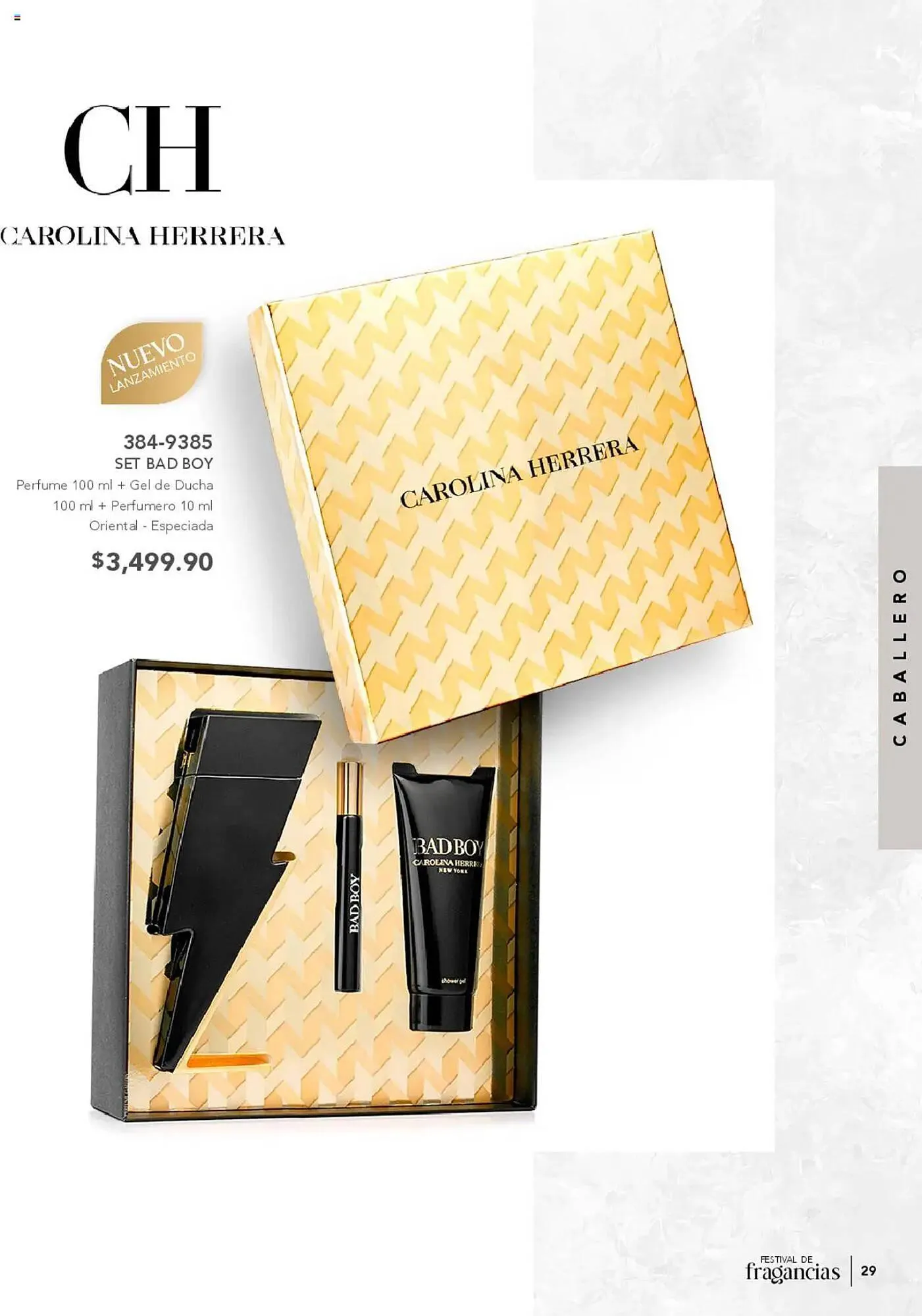 Catálogo de Catálogo Andrea 29 de junio al 27 de julio 2025 - Pagina 29