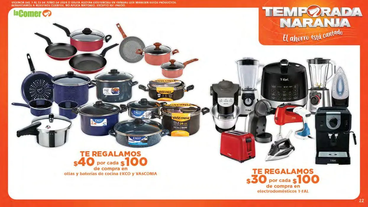 Catálogo de Temporada Naranja 7 de junio al 13 de junio 2024 - Pagina 22