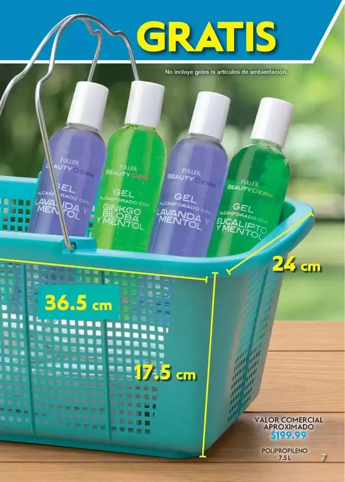 Catálogo de Fuller REVISTA GANA MÁS C17 28 de noviembre al 17 de diciembre 2024 - Pagina 29