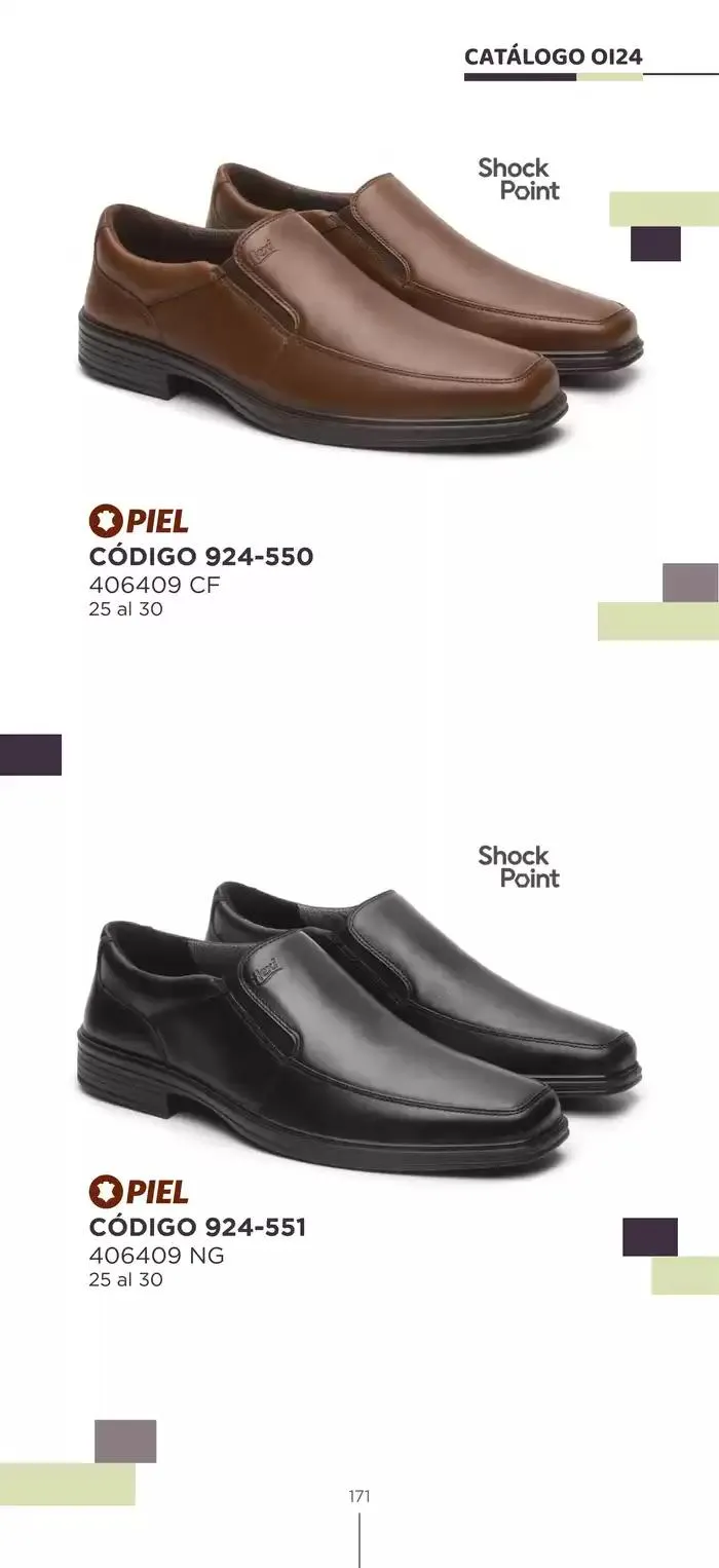 Catálogo de Pakar Flexi 23 de octubre al 31 de enero 2025 - Pagina 171