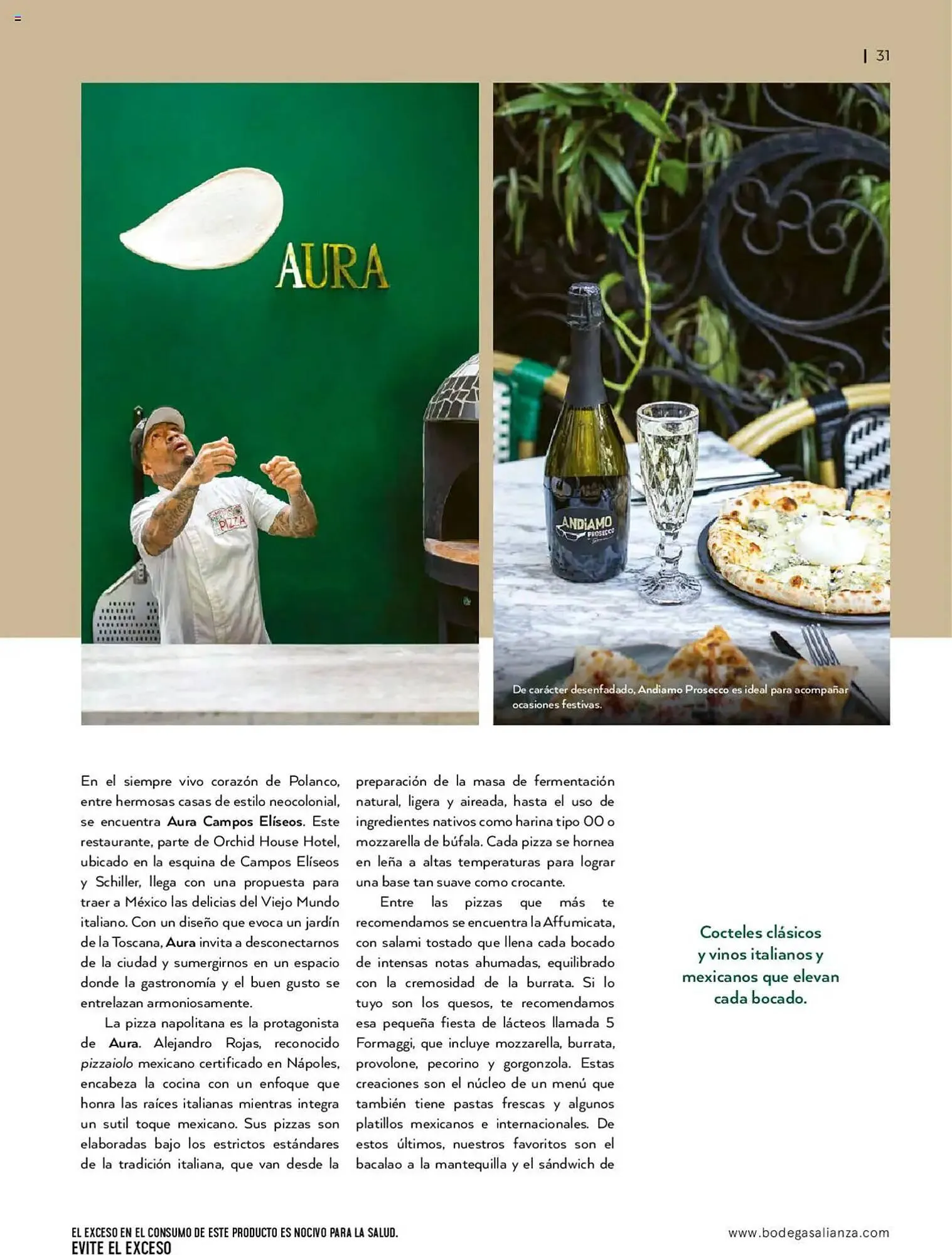 Catálogo de Catálogo Bodegas Alianza 14 de enero al 30 de marzo 2025 - Pagina 33