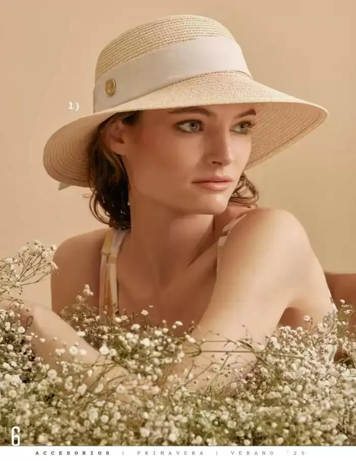 Catálogo de ACCESORIOS | PRI-VER | 2025 | 1E 1 de marzo al 30 de septiembre 2025 - Pagina 8