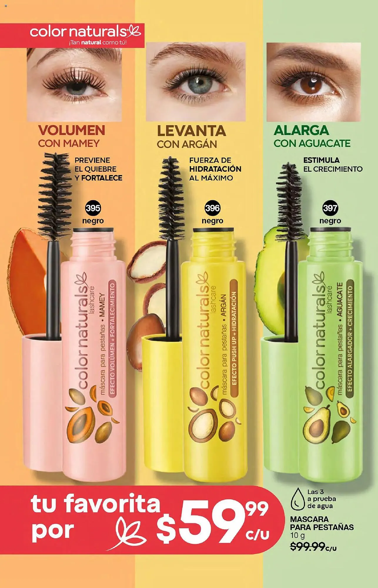 Catálogo de Catálogo Fuller 21 de enero al 10 de febrero 2026 - Pagina 138