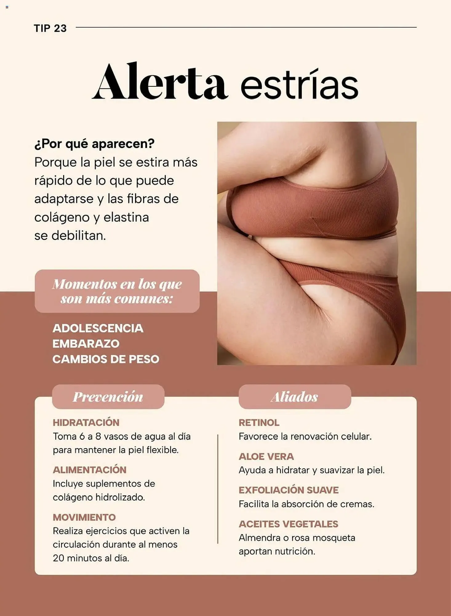 Catálogo de Folleto Chedraui 4 de mayo al 16 de junio 2026 - Pagina 50