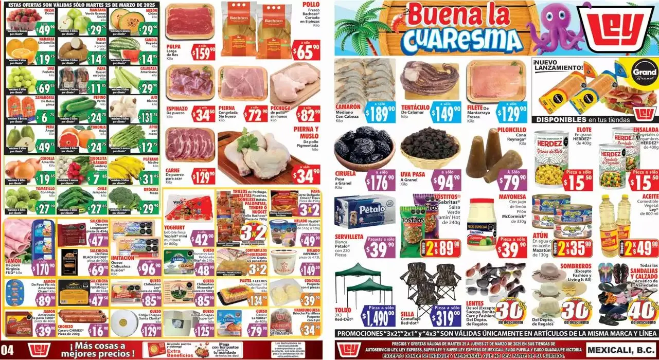 Catálogo de Excelente oferta para cazadores de gangas 25 de marzo al 27 de marzo 2025 - Pagina 1