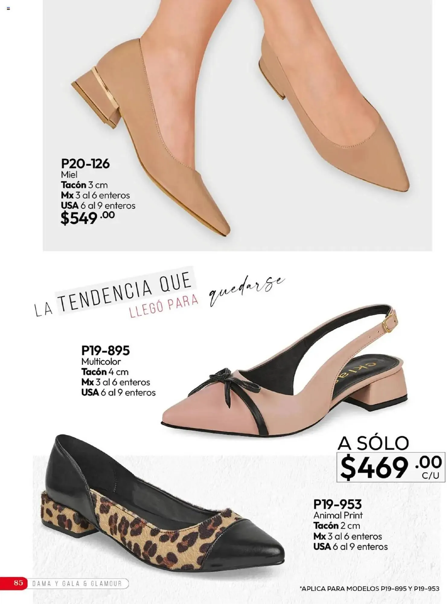 Catálogo de Catálogo Cklass 16 de septiembre al 1 de abril 2026 - Pagina 241