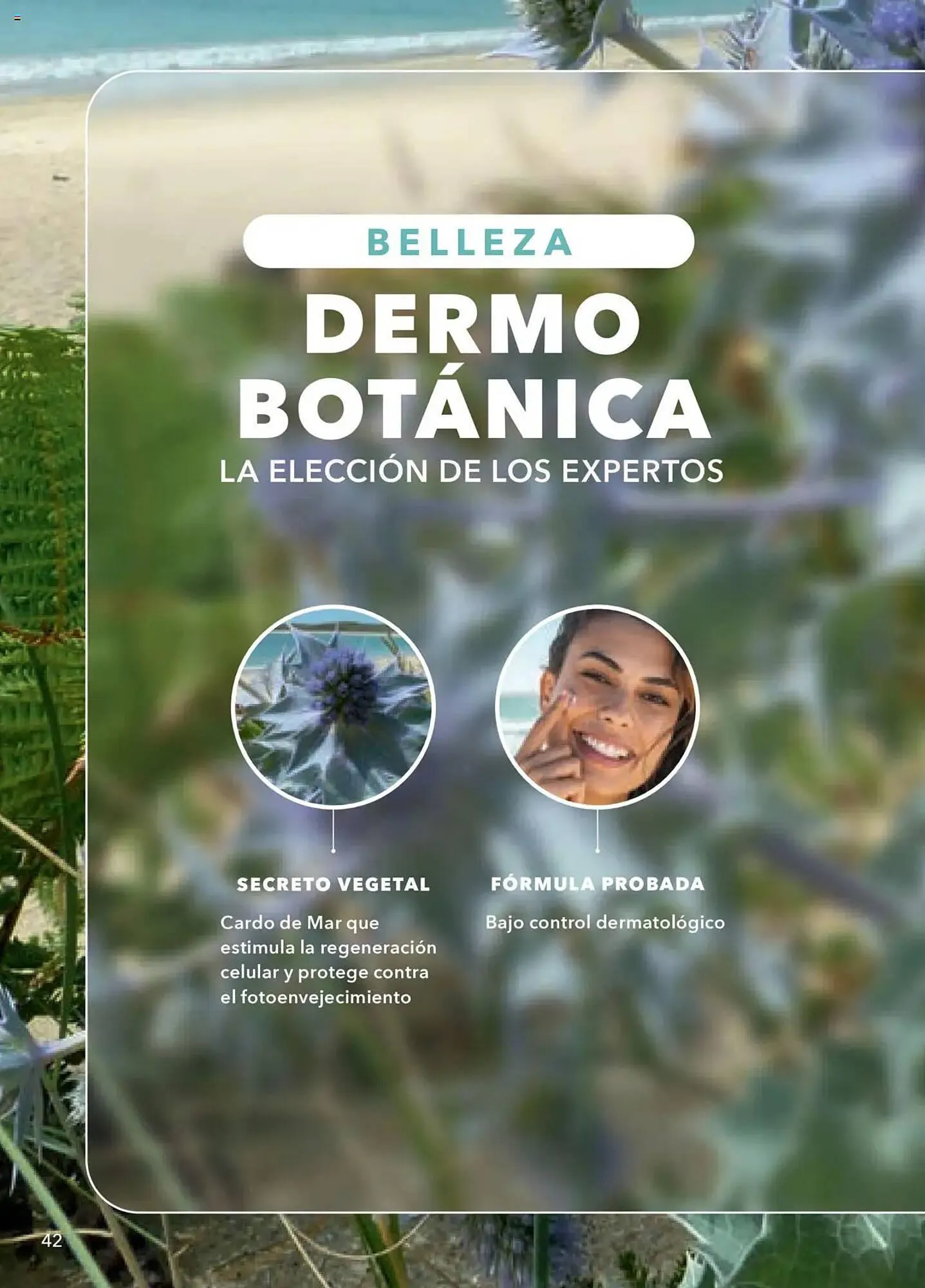 Catálogo de Catálogo Yves Rocher 24 de junio al 15 de julio 2025 - Pagina 42