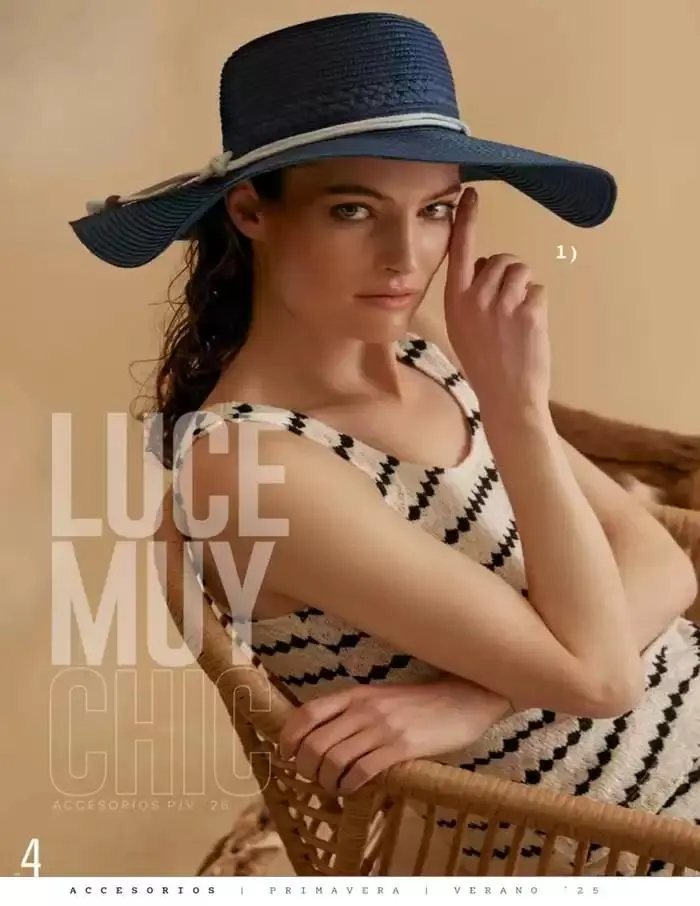 Catálogo de ACCESORIOS | PRI-VER | 2025 | 1E 1 de marzo al 30 de septiembre 2025 - Pagina 6