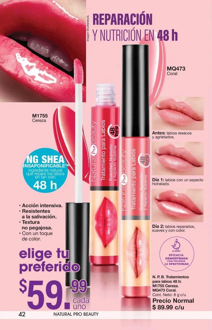 Catálogo de Arabela Campaña 20 29 de agosto al 19 de septiembre 2024 - Pagina 42