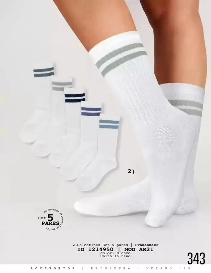 Catálogo de ACCESORIOS | PRI-VER | 2025 | 1E 1 de marzo al 30 de septiembre 2025 - Pagina 345